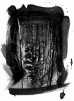 J forêt.jpg