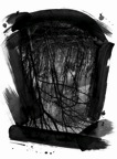 M forêt.jpg