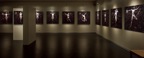 Expo Naïades