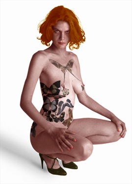 Loading Image